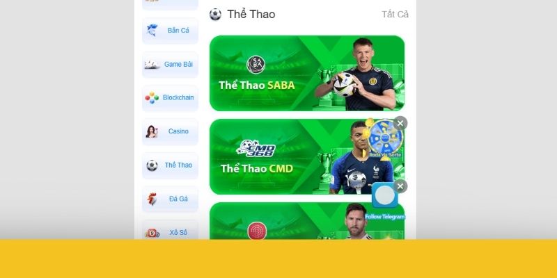 Tổng quan giới thiệu 8XX